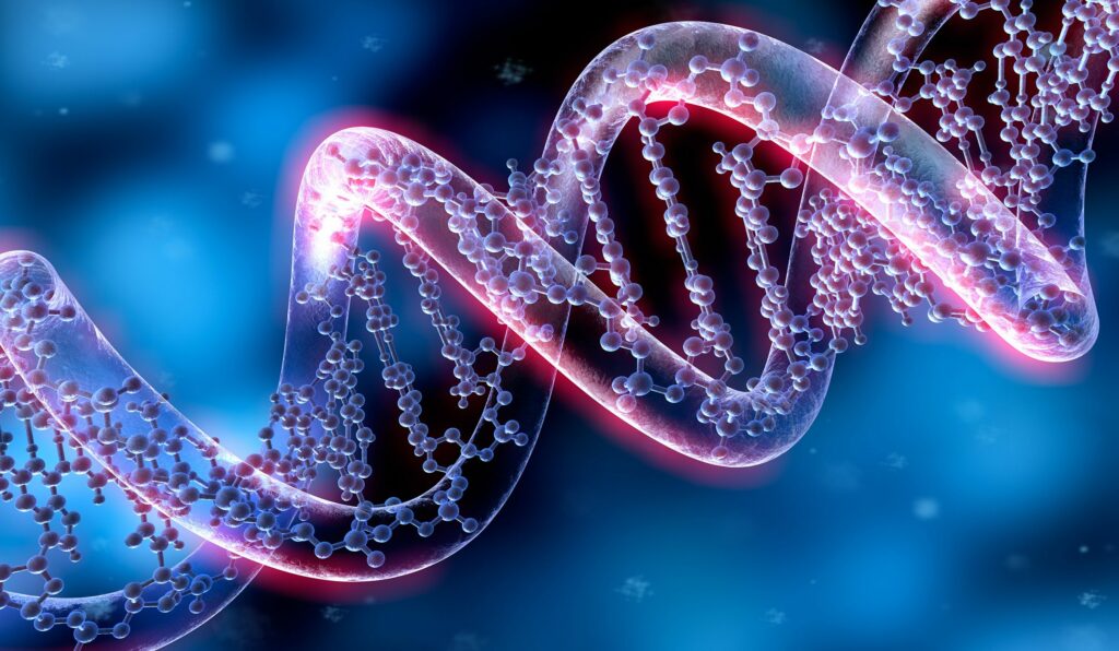 Deoxyribonucleic acid or DNA